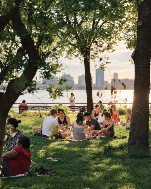 Friends relaxing together in a sunny waterfront park.